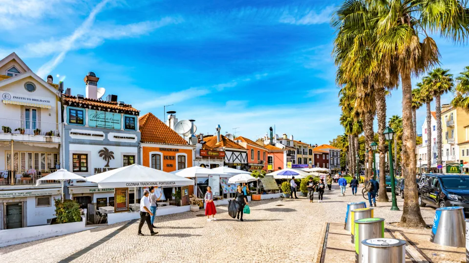 Cinco jovens detidos em Cascais por roubos na via pública