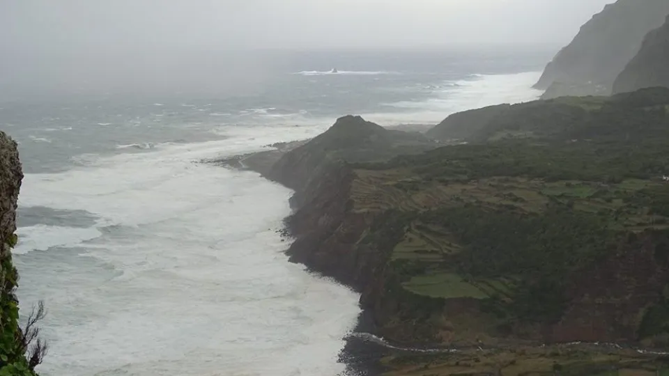Deslizamentos de Terreno nas Flores e Queda de Árvore em São Miguel