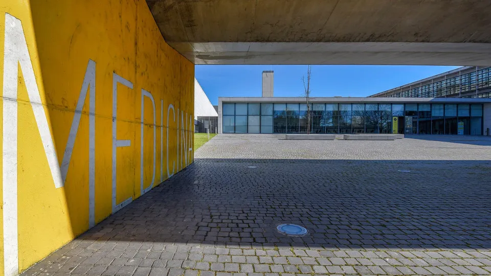 Alunos de Medicina no Porto recorrem de exclusão em concurso judicial