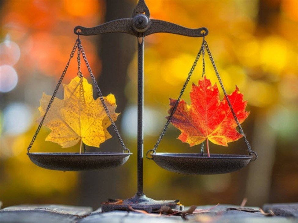 Saldo comercial do Canadá em janeiro: -3,65 bilhões vs