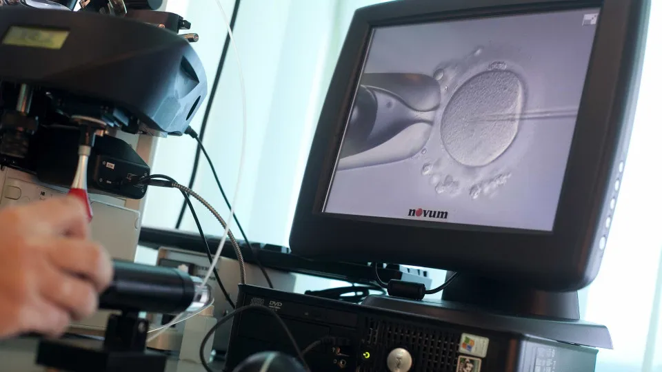 Duas em Três Consultas para Inseminação Fora do Tempo Máximo