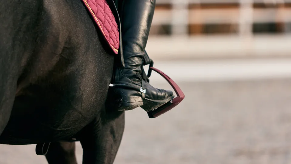 Cavaleiro Detido por Pedofilia Candidata