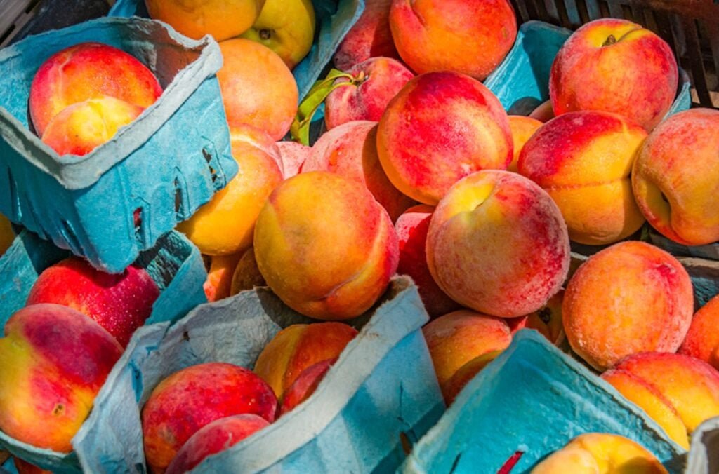 5 Benefícios da Saúde dos Pêssegos (Além de Como Aproveitar a Fruta Durante Todo o Verão)